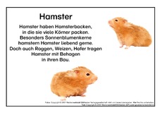 Hamster.pdf
